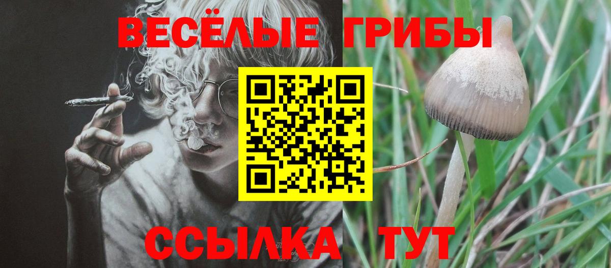 Псилоцибиновые грибы ЛСД Ростов-на-Дону