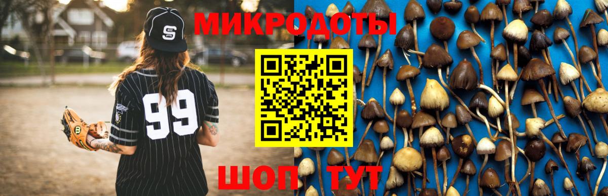 Псилоцибиновые грибы Psilocybe  Вход с VPN  Галлюциногенные грибы MAGIC MUSHROOMS  Ростов-на-Дону 